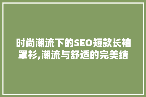 时尚潮流下的SEO短款长袖罩衫,潮流与舒适的完美结合