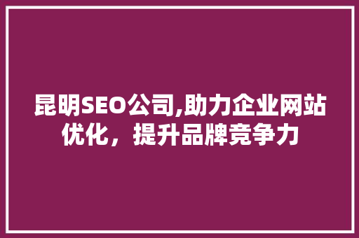 昆明SEO公司,助力企业网站优化，提升品牌竞争力