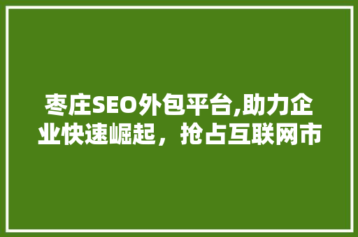枣庄SEO外包平台,助力企业快速崛起，抢占互联网市场先机