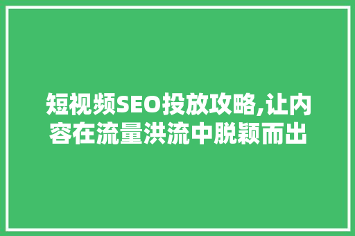 短视频SEO投放攻略,让内容在流量洪流中脱颖而出