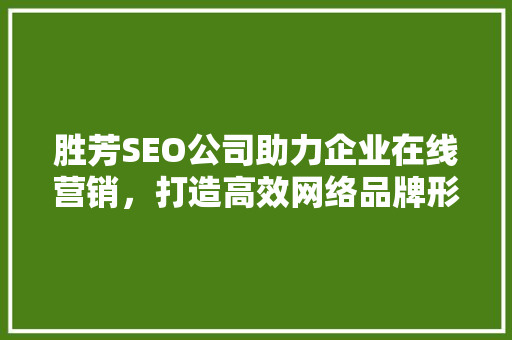 胜芳SEO公司助力企业在线营销，打造高效网络品牌形象