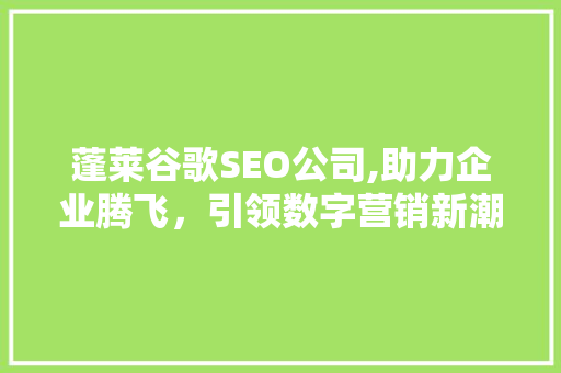 蓬莱谷歌SEO公司,助力企业腾飞，引领数字营销新潮流