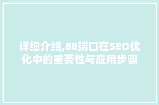 详细介绍,88端口在SEO优化中的重要性与应用步骤