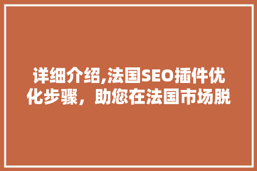 详细介绍,法国SEO插件优化步骤，助您在法国市场脱颖而出
