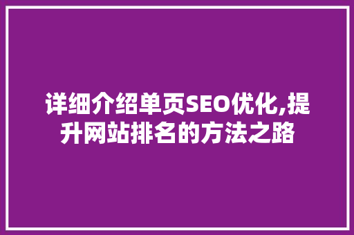 详细介绍单页SEO优化,提升网站排名的方法之路