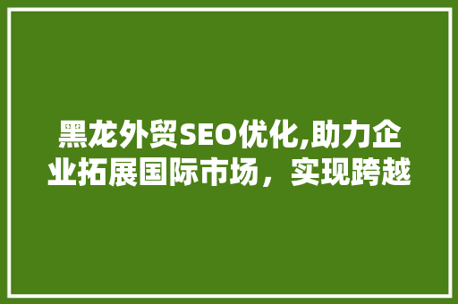 黑龙外贸SEO优化,助力企业拓展国际市场，实现跨越式发展