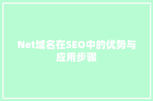 Net域名在SEO中的优势与应用步骤