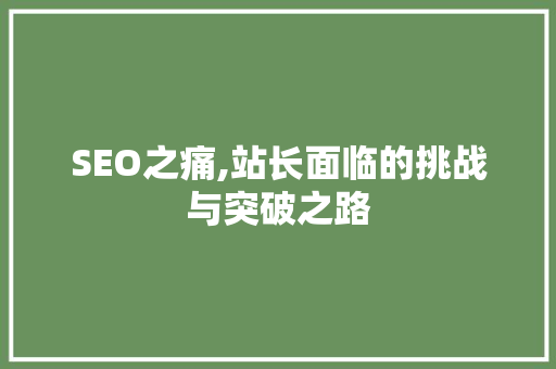 SEO之痛,站长面临的挑战与突破之路
