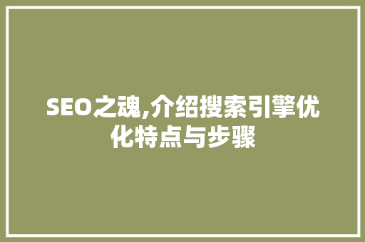 SEO之魂,介绍搜索引擎优化特点与步骤