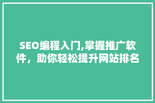 SEO编程入门,掌握推广软件，助你轻松提升网站排名