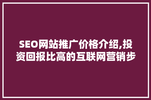 SEO网站推广价格介绍,投资回报比高的互联网营销步骤
