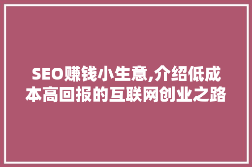 SEO赚钱小生意,介绍低成本高回报的互联网创业之路