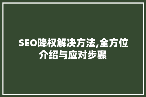 SEO降权解决方法,全方位介绍与应对步骤