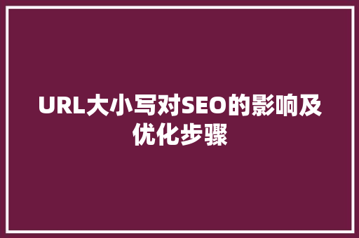 URL大小写对SEO的影响及优化步骤