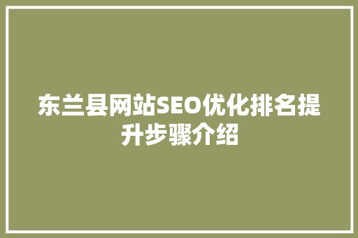 东兰县网站SEO优化排名提升步骤介绍