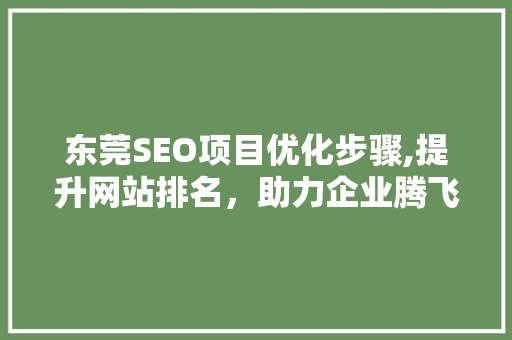 东莞SEO项目优化步骤,提升网站排名，助力企业腾飞
