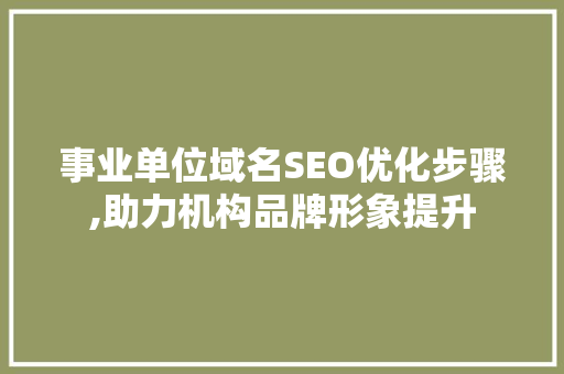事业单位域名SEO优化步骤,助力机构品牌形象提升