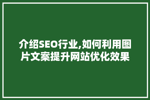 介绍SEO行业,如何利用图片文案提升网站优化效果