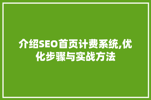 介绍SEO首页计费系统,优化步骤与实战方法