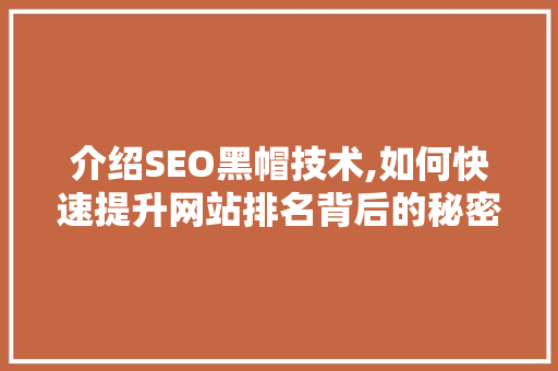 介绍SEO黑帽技术,如何快速提升网站排名背后的秘密