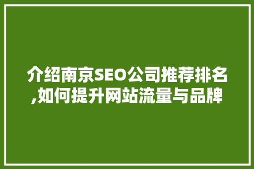 介绍南京SEO公司推荐排名,如何提升网站流量与品牌影响力
