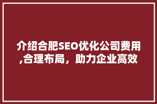 介绍合肥SEO优化公司费用,合理布局，助力企业高效提升网络曝光度