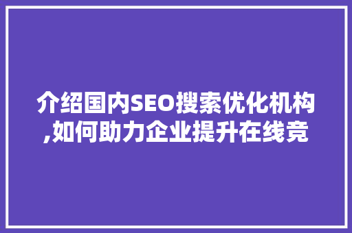 介绍国内SEO搜索优化机构,如何助力企业提升在线竞争力