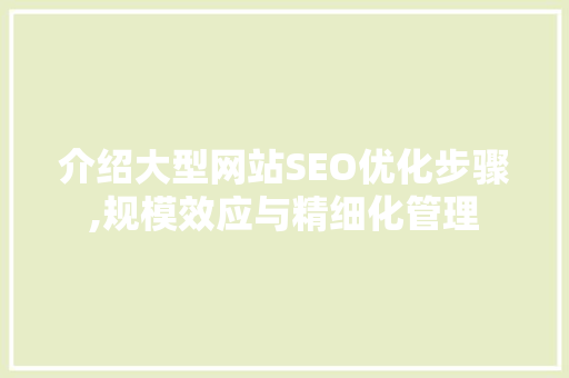 介绍大型网站SEO优化步骤,规模效应与精细化管理