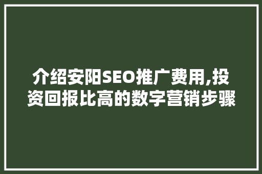 介绍安阳SEO推广费用,投资回报比高的数字营销步骤