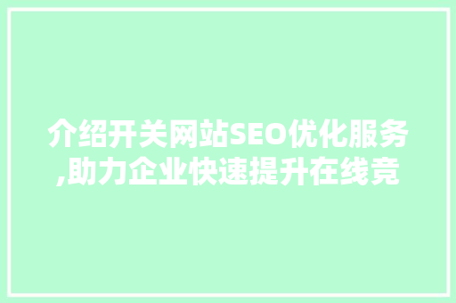 介绍开关网站SEO优化服务,助力企业快速提升在线竞争力