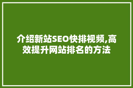 介绍新站SEO快排视频,高效提升网站排名的方法