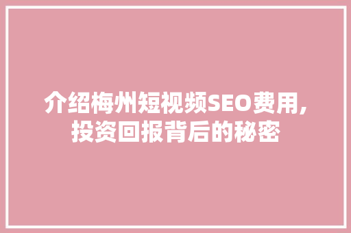 介绍梅州短视频SEO费用,投资回报背后的秘密