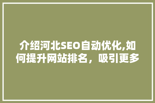 介绍河北SEO自动优化,如何提升网站排名，吸引更多流量