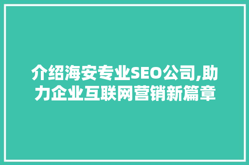 介绍海安专业SEO公司,助力企业互联网营销新篇章