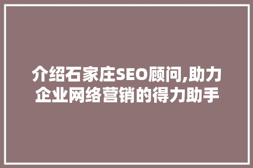 介绍石家庄SEO顾问,助力企业网络营销的得力助手