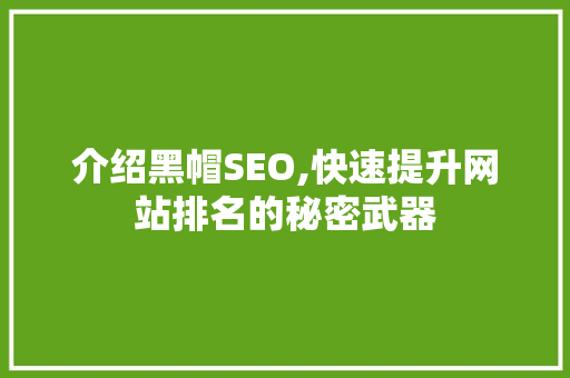 介绍黑帽SEO,快速提升网站排名的秘密武器