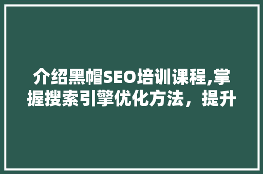 介绍黑帽SEO培训课程,掌握搜索引擎优化方法，提升网站排名