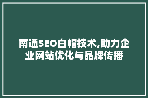 南通SEO白帽技术,助力企业网站优化与品牌传播