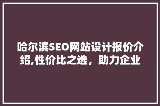 哈尔滨SEO网站设计报价介绍,性价比之选，助力企业网络营销