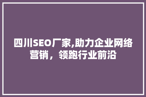 四川SEO厂家,助力企业网络营销，领跑行业前沿
