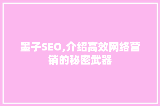 墨子SEO,介绍高效网络营销的秘密武器