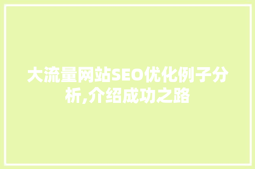 大流量网站SEO优化例子分析,介绍成功之路