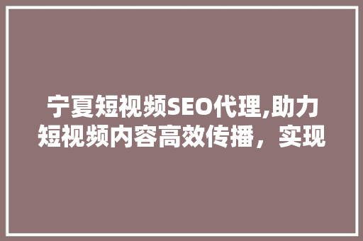 宁夏短视频SEO代理,助力短视频内容高效传播，实现品牌价值最大化