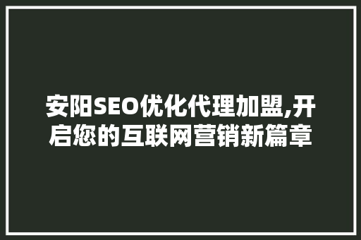 安阳SEO优化代理加盟,开启您的互联网营销新篇章
