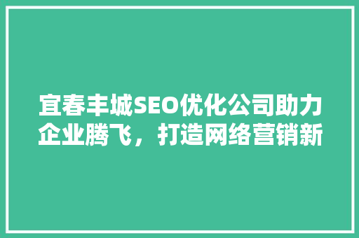 宜春丰城SEO优化公司助力企业腾飞，打造网络营销新格局