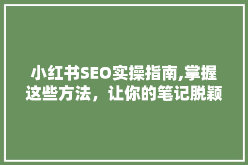 小红书SEO实操指南,掌握这些方法，让你的笔记脱颖而出