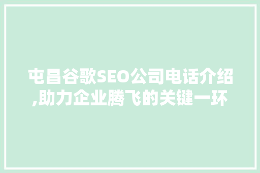 屯昌谷歌SEO公司电话介绍,助力企业腾飞的关键一环