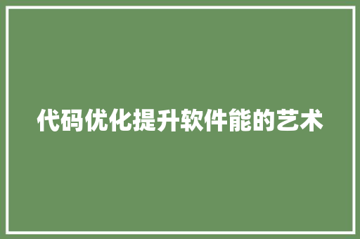 代码优化提升软件能的艺术