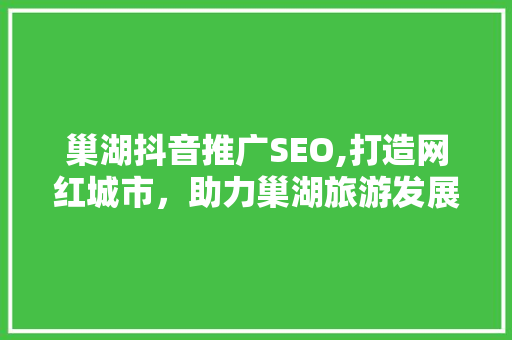巢湖抖音推广SEO,打造网红城市，助力巢湖旅游发展