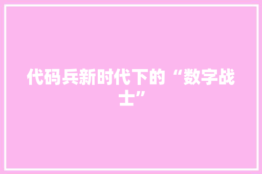 代码兵新时代下的“数字战士”